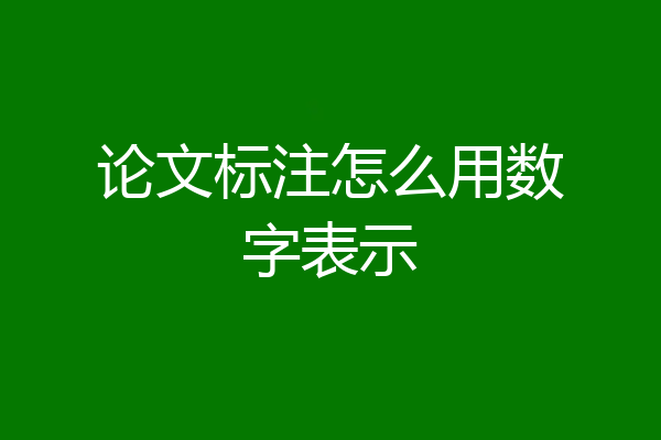 论文标注怎么用数字表示