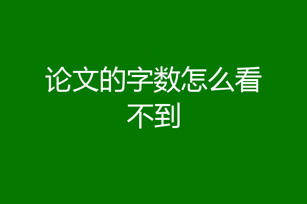 论文的字数怎么看不到