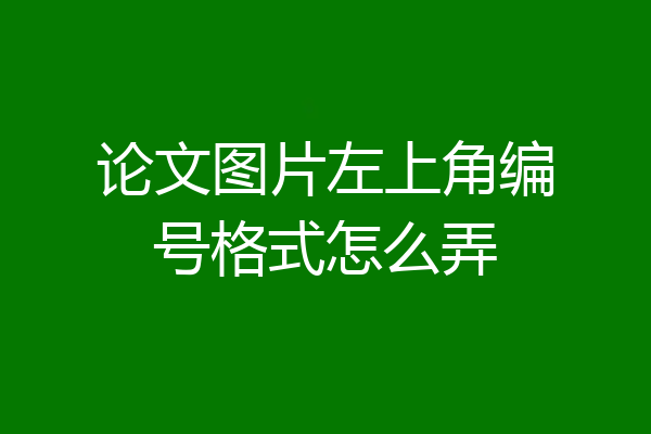 论文图片左上角编号格式怎么弄