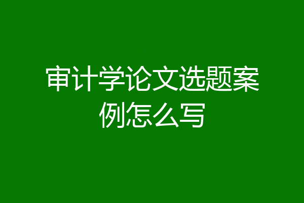 审计学论文选题案例怎么写
