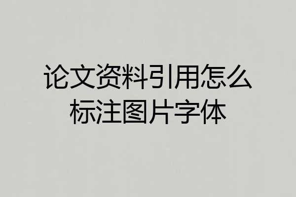 论文资料引用怎么标注图片字体
