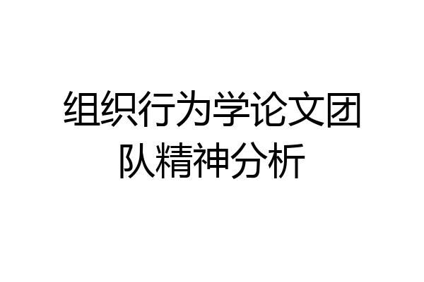 组织行为学论文团队精神分析