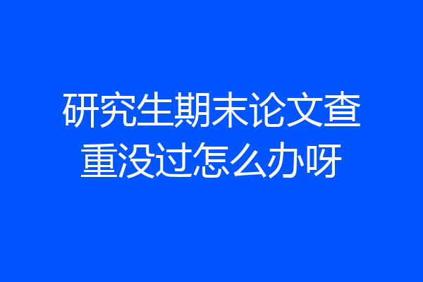 研究生期末论文查重没过怎么办呀