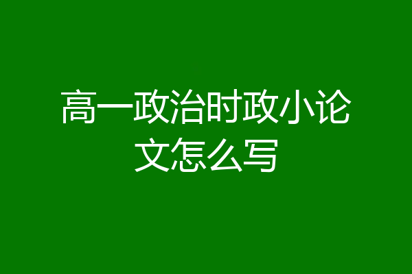 高一政治时政小论文怎么写