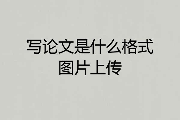 写论文是什么格式图片上传