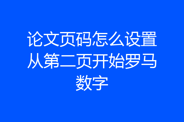 论文页码怎么设置从第二页开始罗马数字