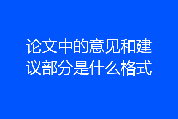 论文中的意见和建议部分是什么格式