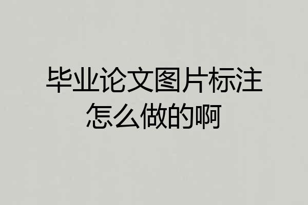 毕业论文图片标注怎么做的啊
