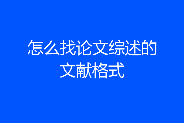 怎么找论文综述的文献格式
