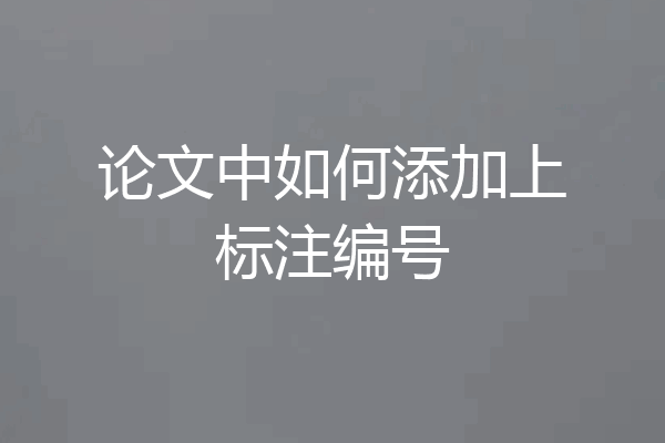论文中如何添加上标注编号