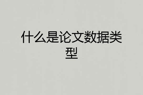 什么是论文数据类型