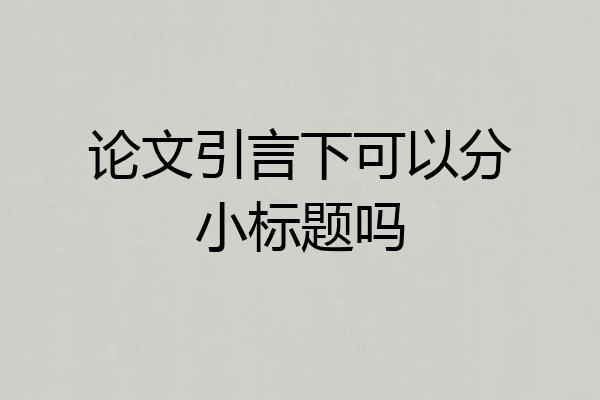 论文引言下可以分小标题吗
