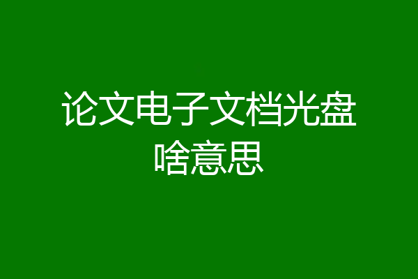 论文电子文档光盘啥意思
