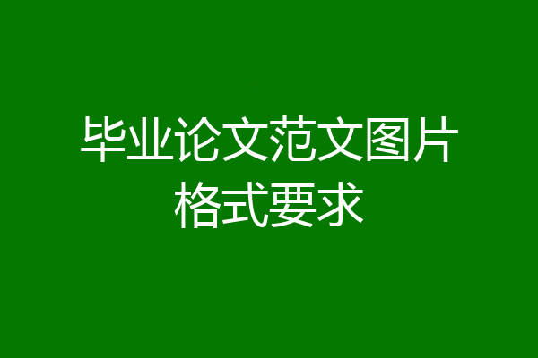 毕业论文范文图片格式要求