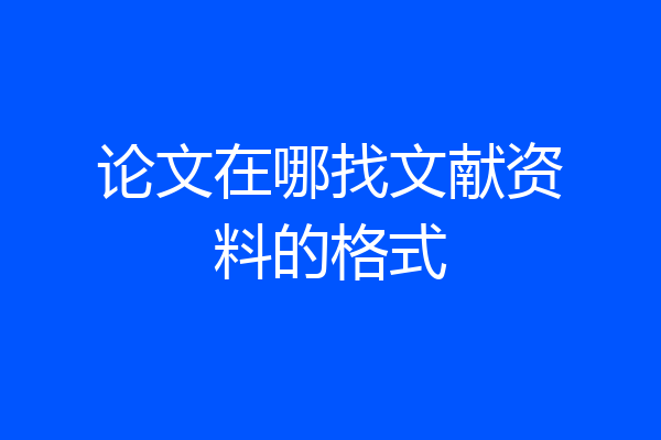 论文在哪找文献资料的格式