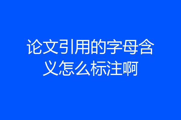 论文引用的字母含义怎么标注啊