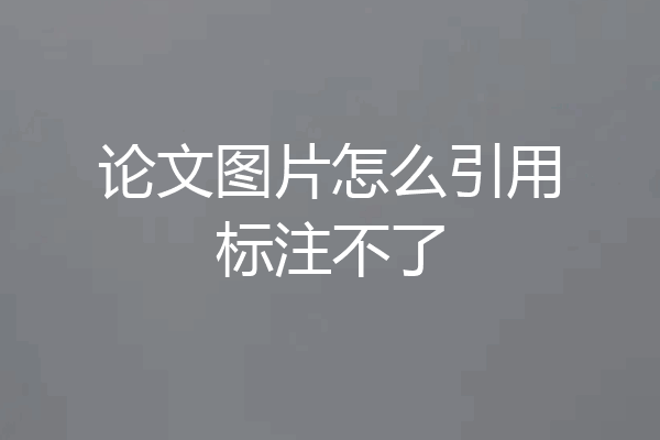 论文图片怎么引用标注不了