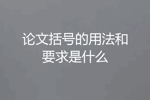 论文括号的用法和要求是什么