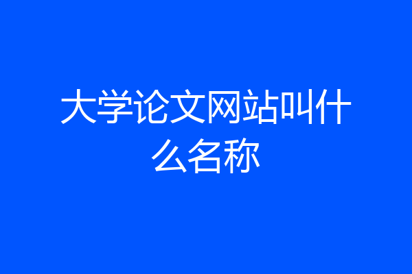 大学论文网站叫什么名称