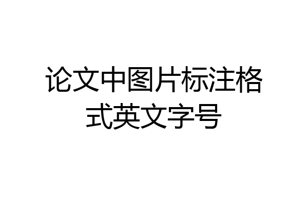 论文中图片标注格式英文字号