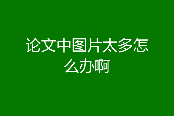 论文中图片太多怎么办啊