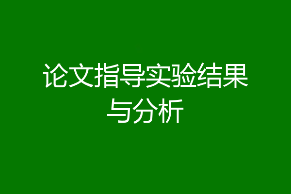 论文指导实验结果与分析