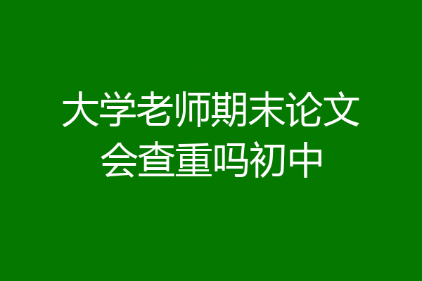 大学老师期末论文会查重吗初中
