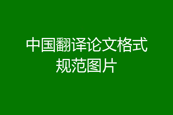 中国翻译论文格式规范图片