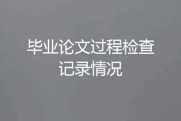毕业论文过程检查记录情况