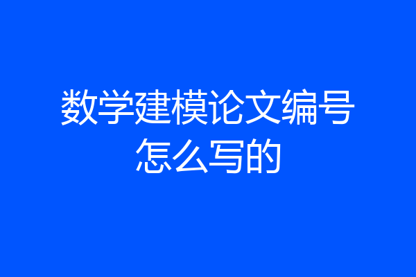 数学建模论文编号怎么写的