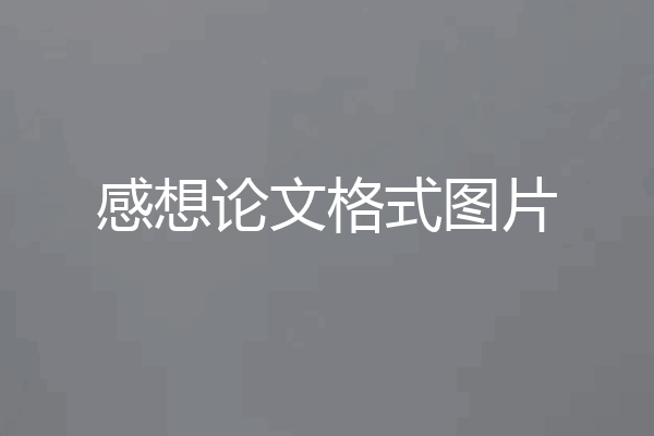 感想论文格式图片