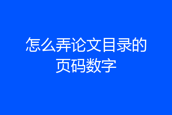 怎么弄论文目录的页码数字