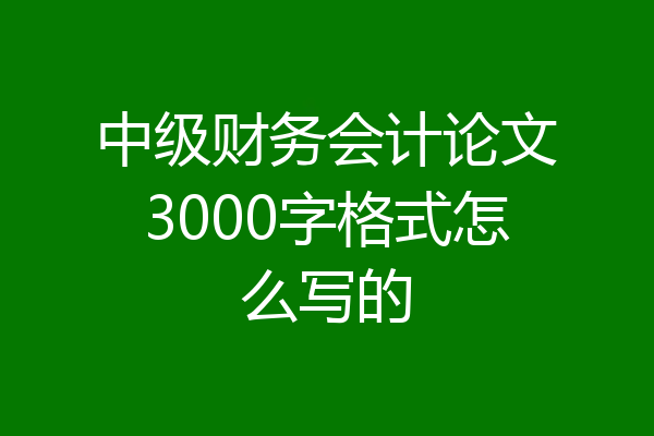 中级财务会计论文3000字格式怎么写的