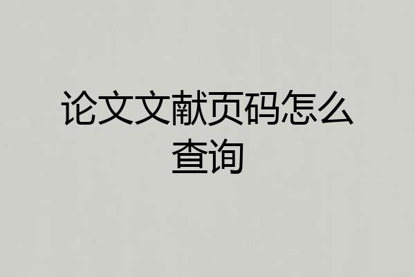 论文文献页码怎么查询