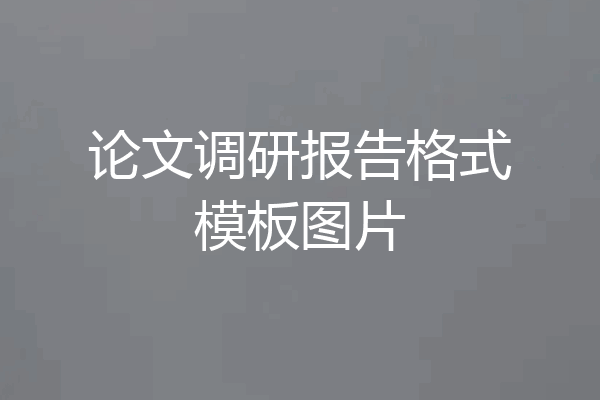 论文调研报告格式模板图片