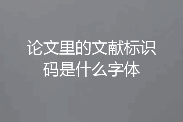 论文里的文献标识码是什么字体