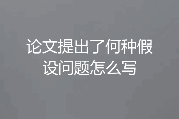 论文提出了何种假设问题怎么写