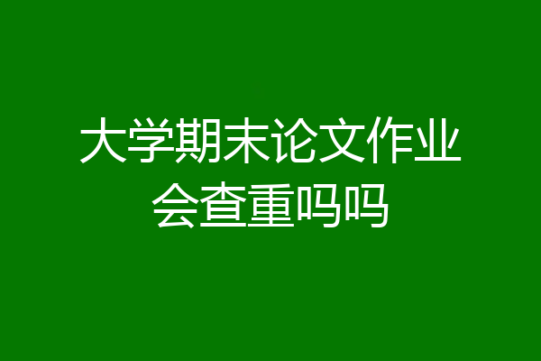 大学期末论文作业会查重吗吗