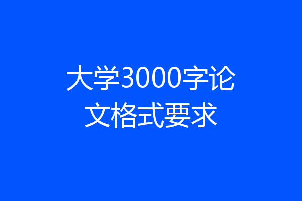 大学3000字论文格式要求