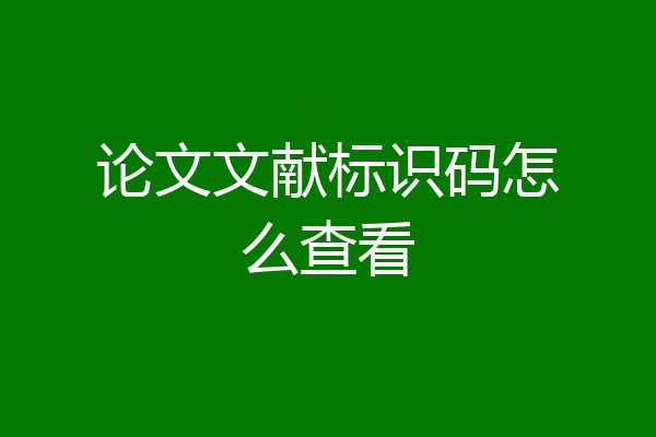 论文文献标识码怎么查看