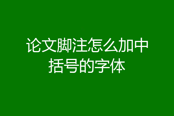 论文脚注怎么加中括号的字体