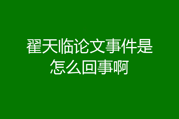翟天临论文事件是怎么回事啊