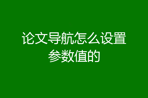 论文导航怎么设置参数值的
