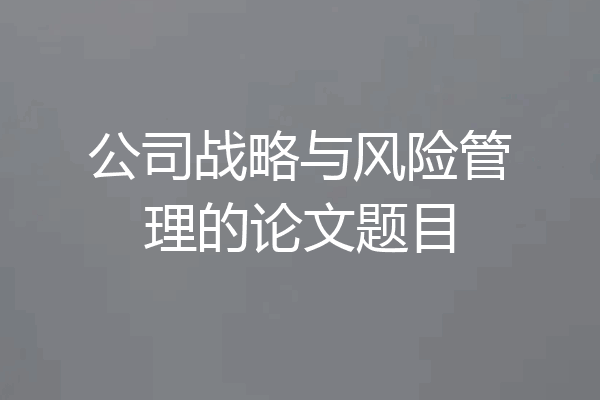公司战略与风险管理的论文题目