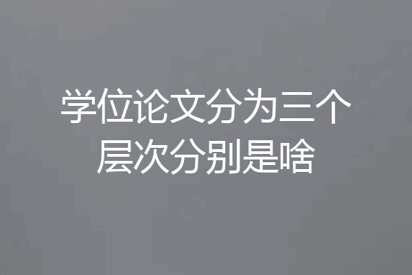 学位论文分为三个层次分别是啥