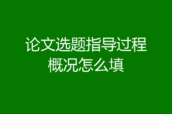 论文选题指导过程概况怎么填