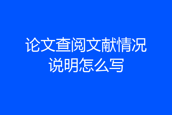 论文查阅文献情况说明怎么写
