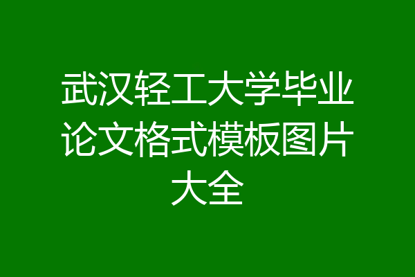 武汉轻工大学毕业论文格式模板图片大全