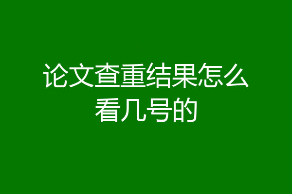 论文查重结果怎么看几号的