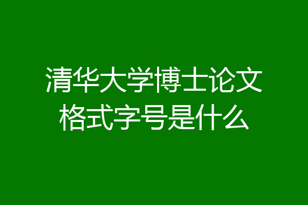 清华大学博士论文格式字号是什么